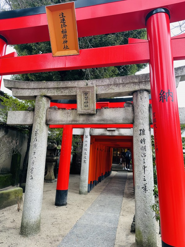 お仕事で福岡行ってきました✈️