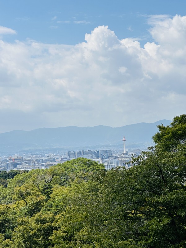 コンテスト審査員お仕事で、大阪京都行ってきました🫡
